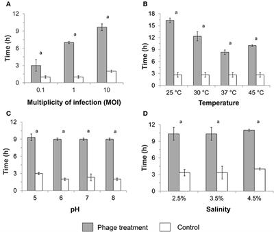 Bacteriophage Infectivity Against Pseudomonas aeruginosa in Saline Conditions